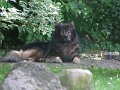 rudel (16)